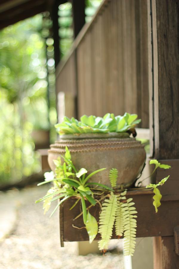 Mae Nai Gardens Villa บ้านแม่แมะ ภายนอก รูปภาพ